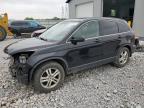 Barberton, OH에서 판매 중인 2010 Honda Cr-V Exl - Front End