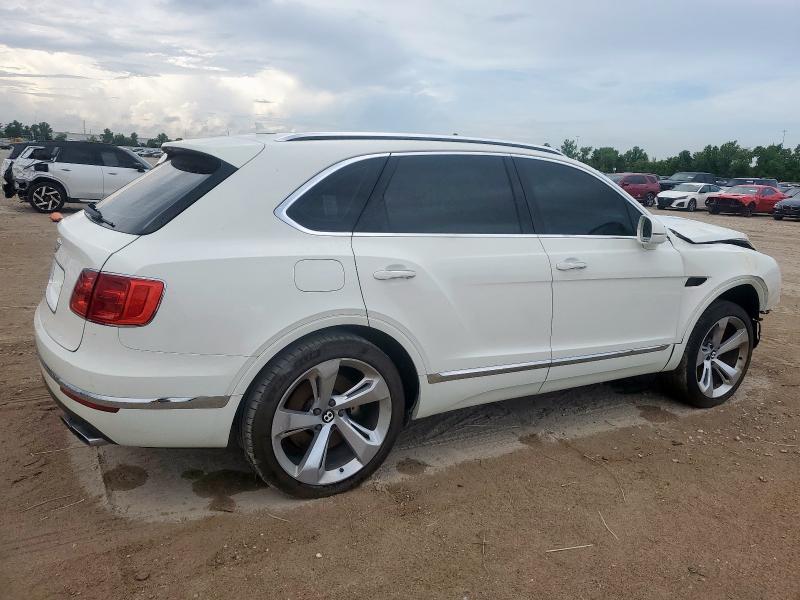  BENTLEY ALL MODELS 2019 White