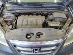 Pasco, WA에서 판매 중인 2005 Honda Odyssey Exl - Rear End