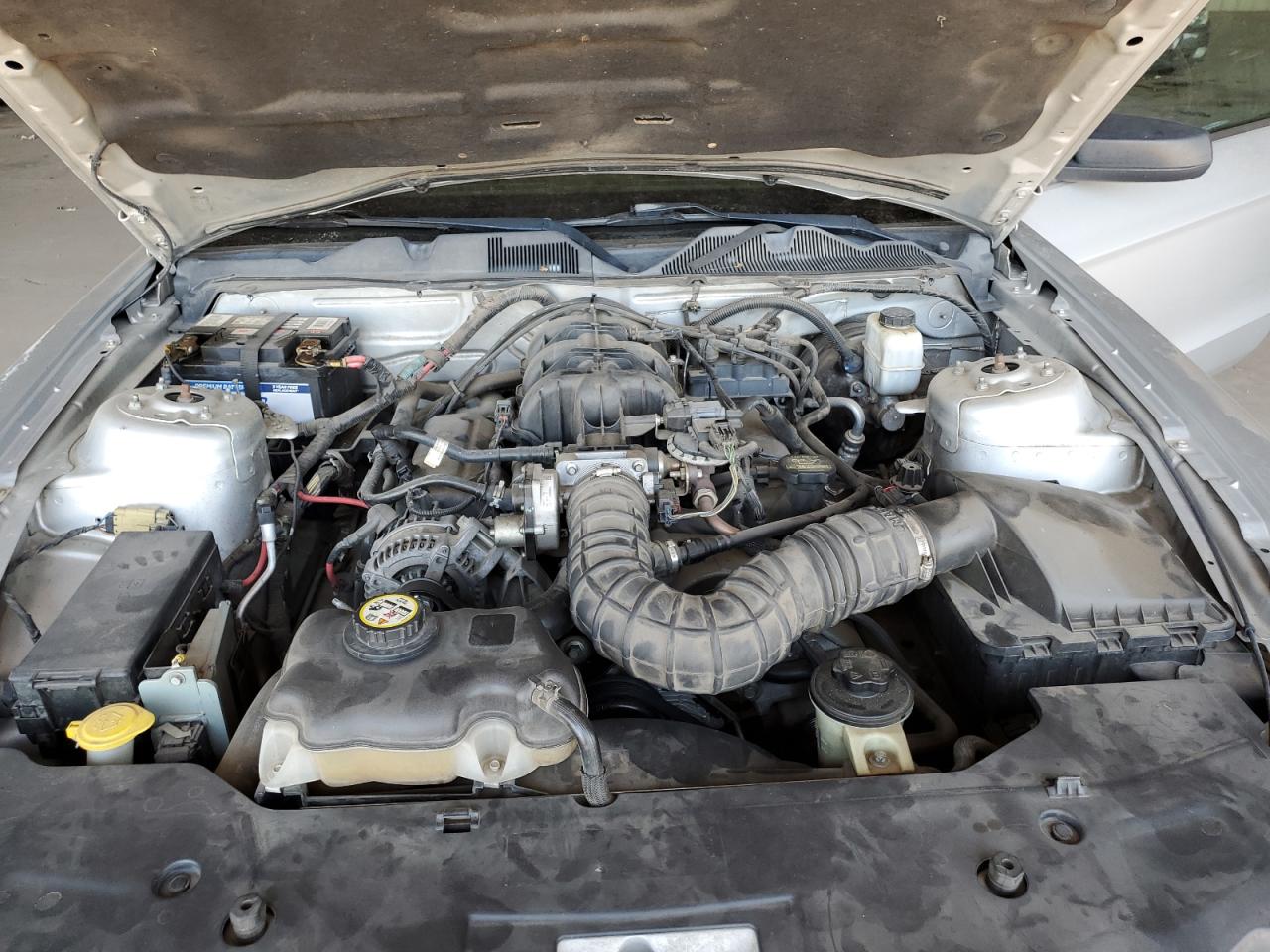 2010 Ford Mustang VIN: 1ZVBP8EN2A5122819 Lot: 63139715