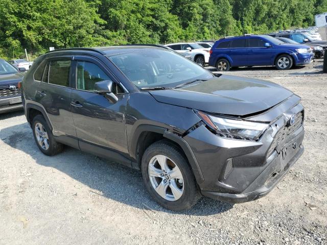  TOYOTA RAV4 2024 Gray