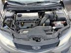 2013 Kia Forte Ex продається в Riverview, FL - Front End
