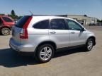 2010 Honda Cr-V Exl للبيع في Woodburn، OR - Front End