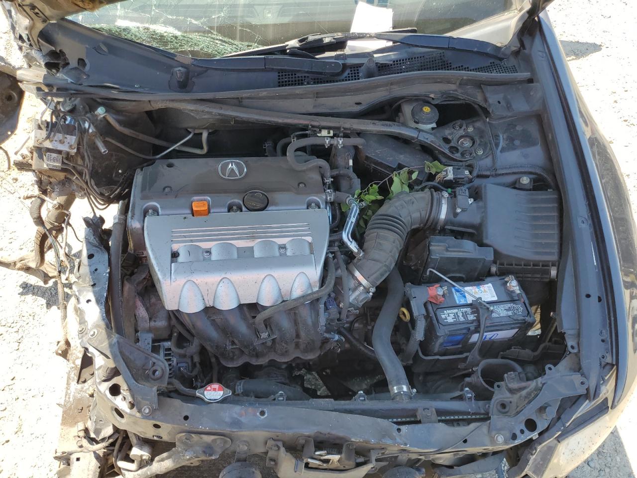 2011 Acura Tsx VIN: JH4CU2F67BC003468 Lot: 60352995
