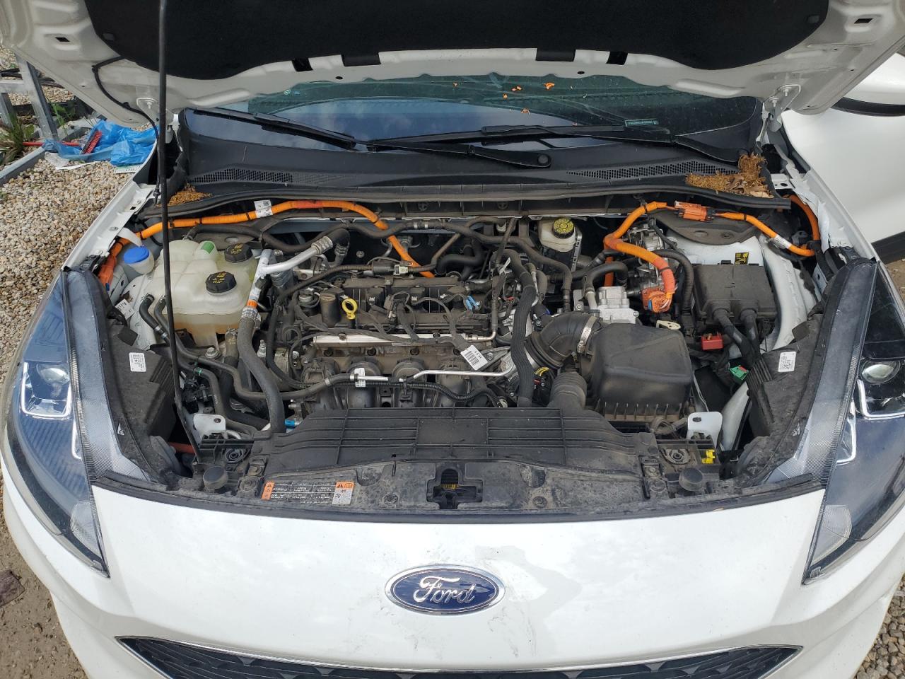 2022 Ford Escape Sel VIN: 1FMCU0KZ1NUB94952 Lot: 61589885