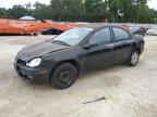 2002 Dodge Neon  for Sale in Ocala, FL - Front End