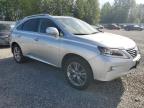2013 Lexus Rx 450H იყიდება Arlington-ში, WA - Front End