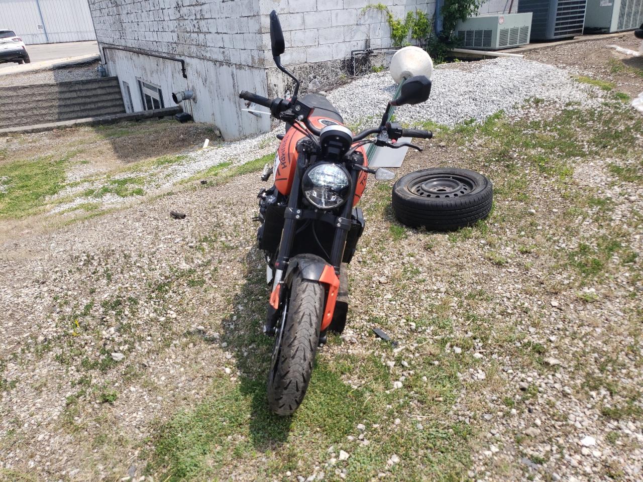 2023 Triumph Motorcycle Trident 660 orange null gas SMTL10UL3PTBK5490 photo #3