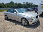 2004 Mercedes-Benz Clk 500   for Sale in Theodore, AL - Rear End