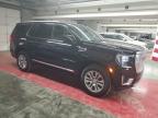 2023 Gmc Yukon Denali en Venta en Lexington, KY - Normal Wear
