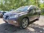 2013 LEXUS RX 350 BASE   for sale at Copart ON - COOKSTOWN