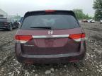 2015 Honda Odyssey Exl for Sale in Cicero, IN - Front End