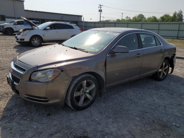 2011 Chevrolet Malibu 1Lt