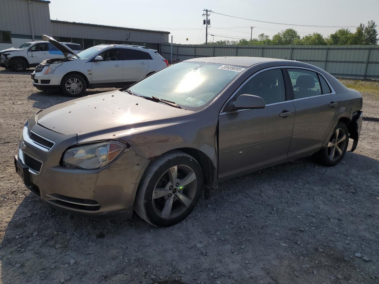 2011 Chevrolet Malibu 1Lt იყიდება Leroy-ში, NY - Rear End