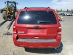 2010 Ford Escape Xlt   за продажба в Vallejo, CA - Front End