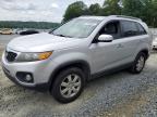 2011 Kia Sorento Base for Sale in Concord, NC - Rear End