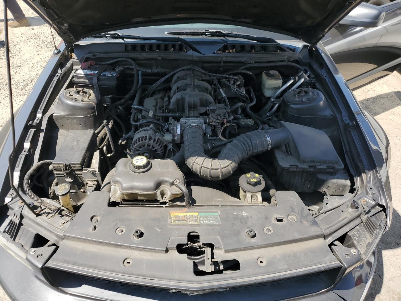2008 Ford Mustang VIN: 1ZVHT80N085196859 Lot: 62763755