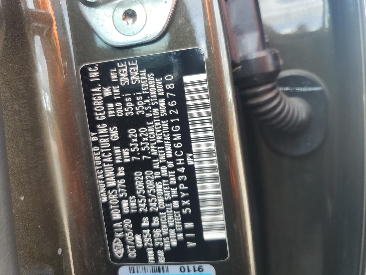 2021 Kia Telluride Ex VIN: 5XYP34HC6MG126780 Lot: 60504765