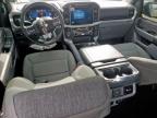2024 FORD F150 XLT   à vendre chez Copart TX - HOUSTON