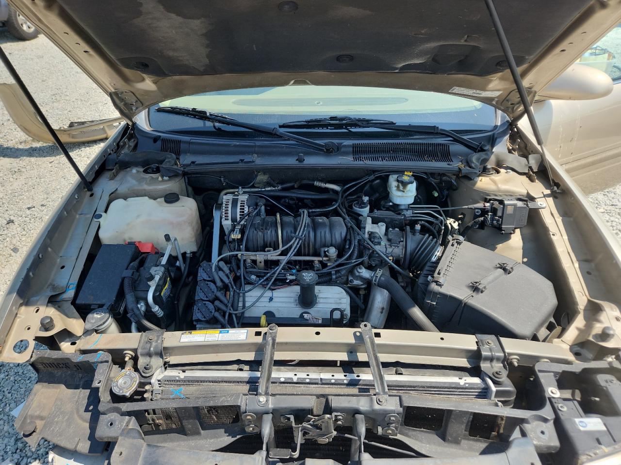2005 Buick Lesabre Custom VIN: 1G4HP52K15U278654 Lot: 62412095
