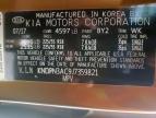 2018 Kia Sportage Ex for Sale in Wilmer, TX - Hail