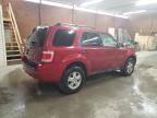 2010 Ford Escape Xlt за продажба в Ebensburg, PA - Front End