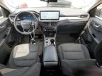 2023 Ford Escape Active for Sale in East Granby, CT - Front End