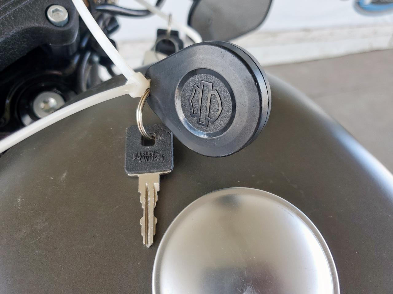 2018 Harley-Davidson Xl883 Iron 883 VIN: 1HD4LE21XJC429639 Lot: 62271975