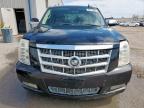 2010 Cadillac Escalade Esv Platinum იყიდება Mercedes-ში, TX - Minor Dent/Scratches