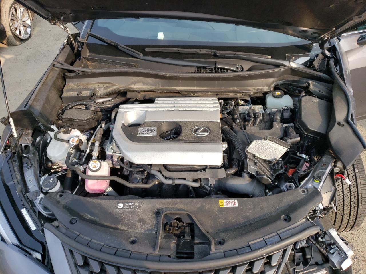 2021 Lexus Ux 250H VIN: JTHP9JBH1M2046894 Lot: 58231625