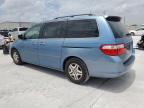 2006 Honda Odyssey Exl للبيع في Haslet، TX - Minor Dent/Scratches