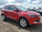 2013 Ford Escape Se na sprzedaż w Rocky View County, AB - Hail