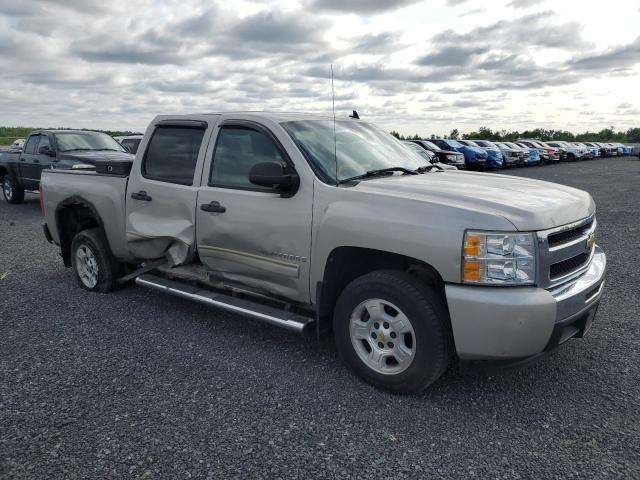 2009 CHEVROLET SILVERADO C1500  