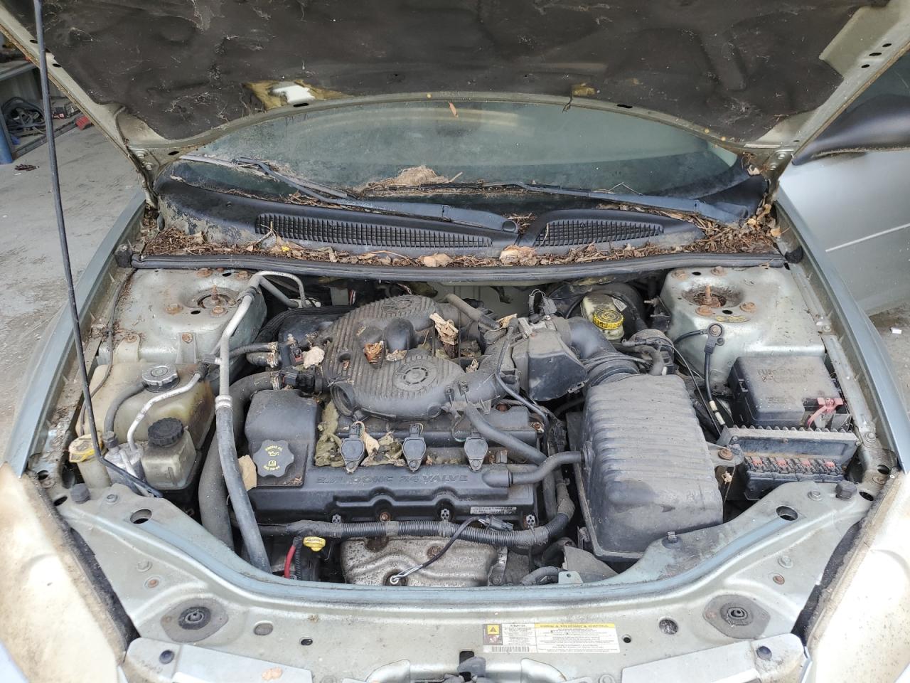 2006 Dodge Stratus Sxt VIN: 1B3AL46T26N219513 Lot: 62292485