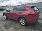 2020 TOYOTA RAV4 LE   for sale at Copart NS - HALIFAX