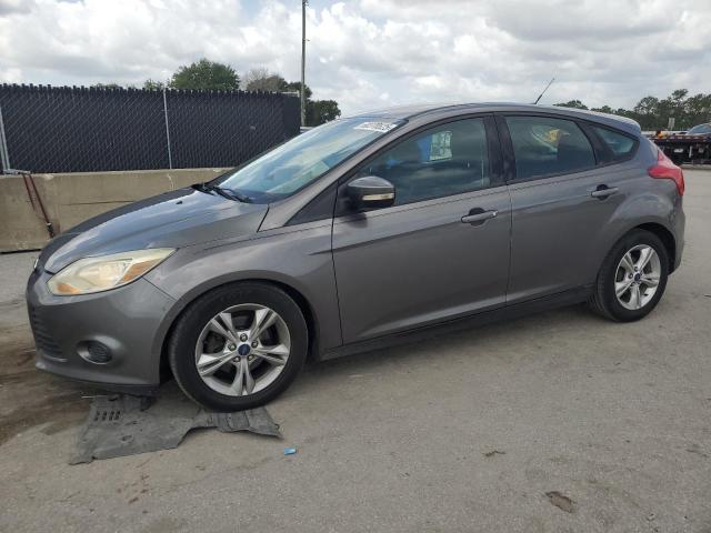 Hatchbacks FORD FOCUS 2014 Szary