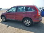 2008 HONDA CR-V LX   à vendre chez Copart ON - LONDON