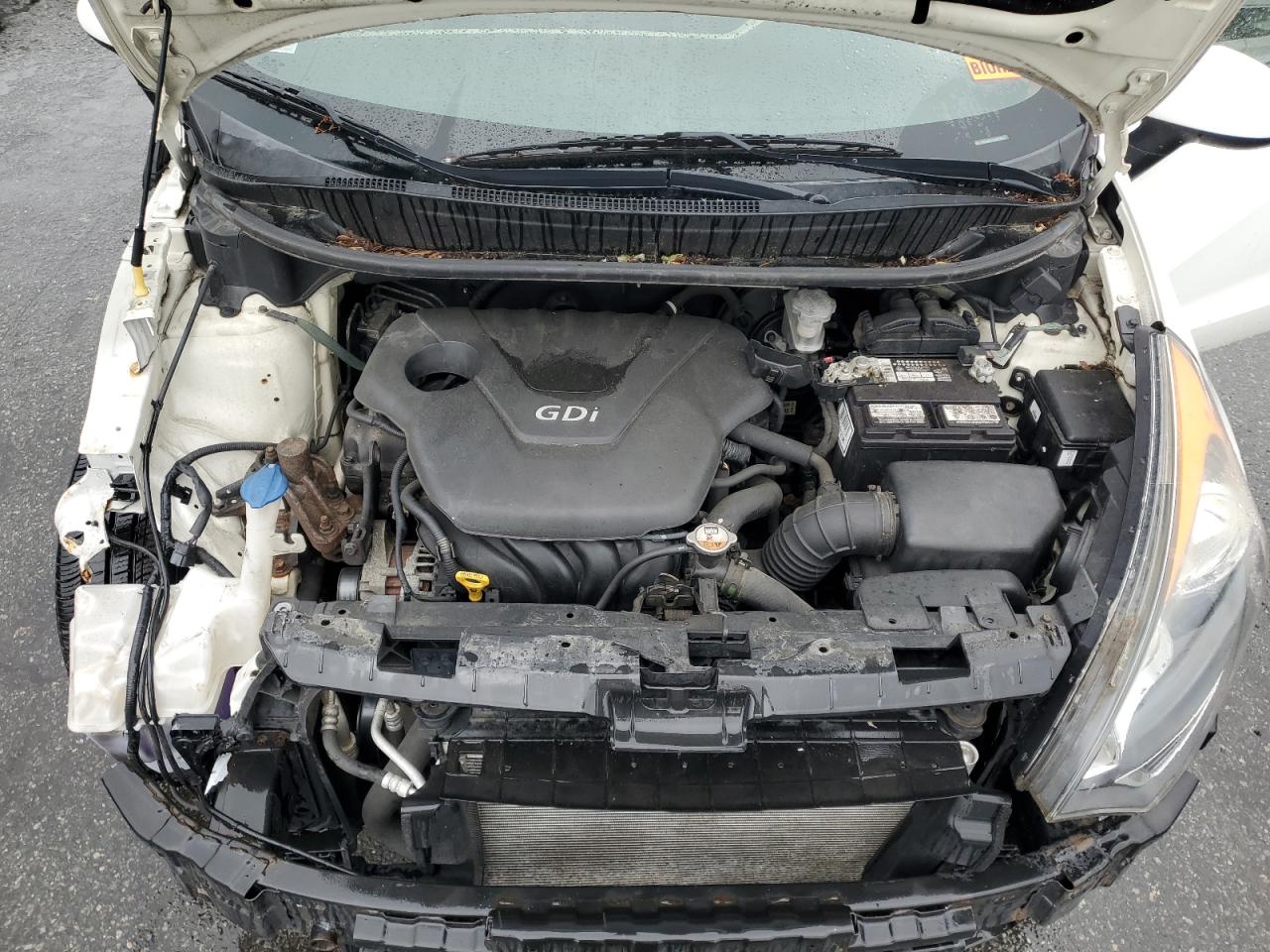 2013 Kia Rio Lx VIN: KNADM5A31D6295637 Lot: 62254025