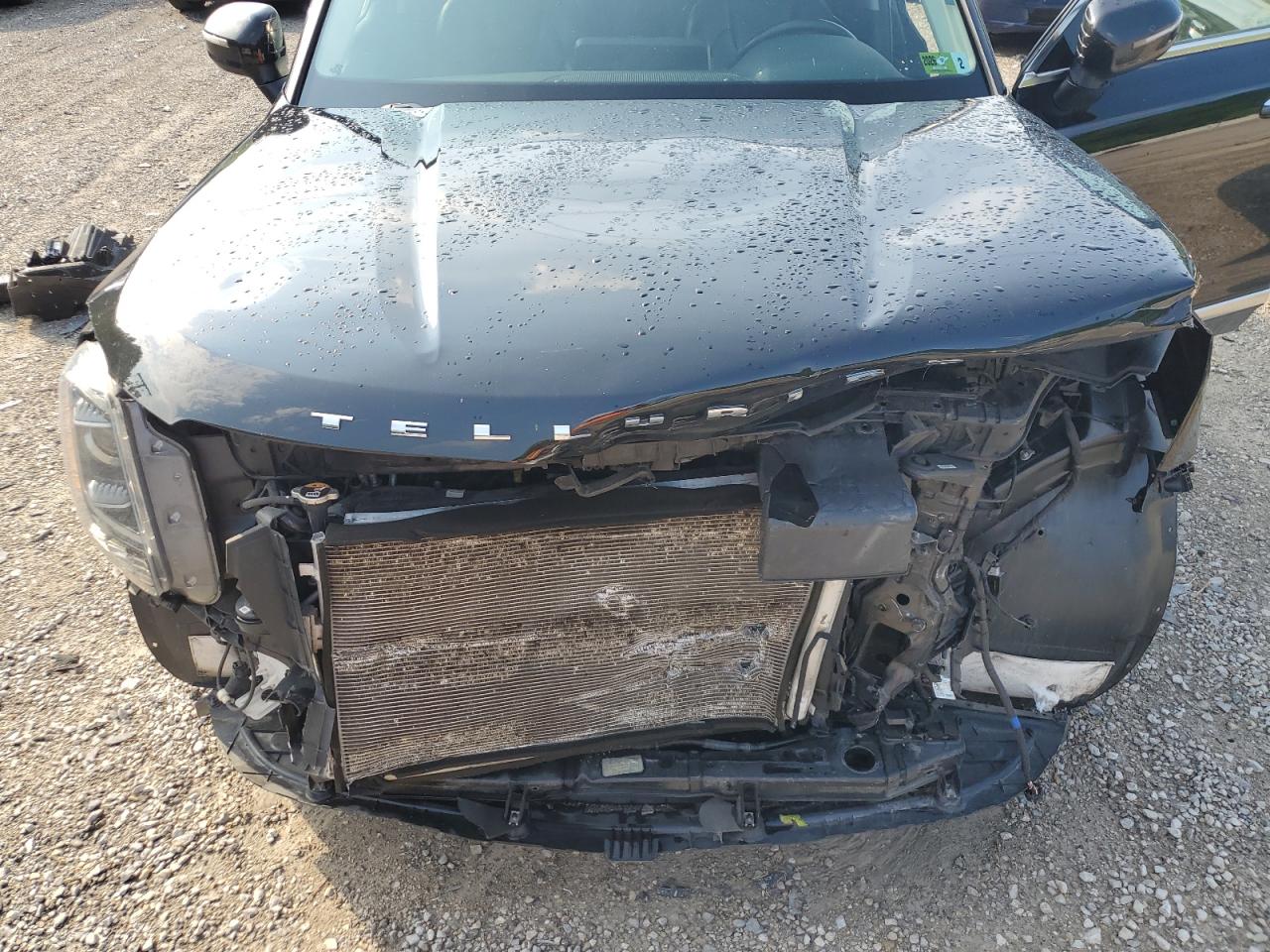 2021 Kia Telluride S VIN: 5XYP64HC8MG110720 Lot: 62733805