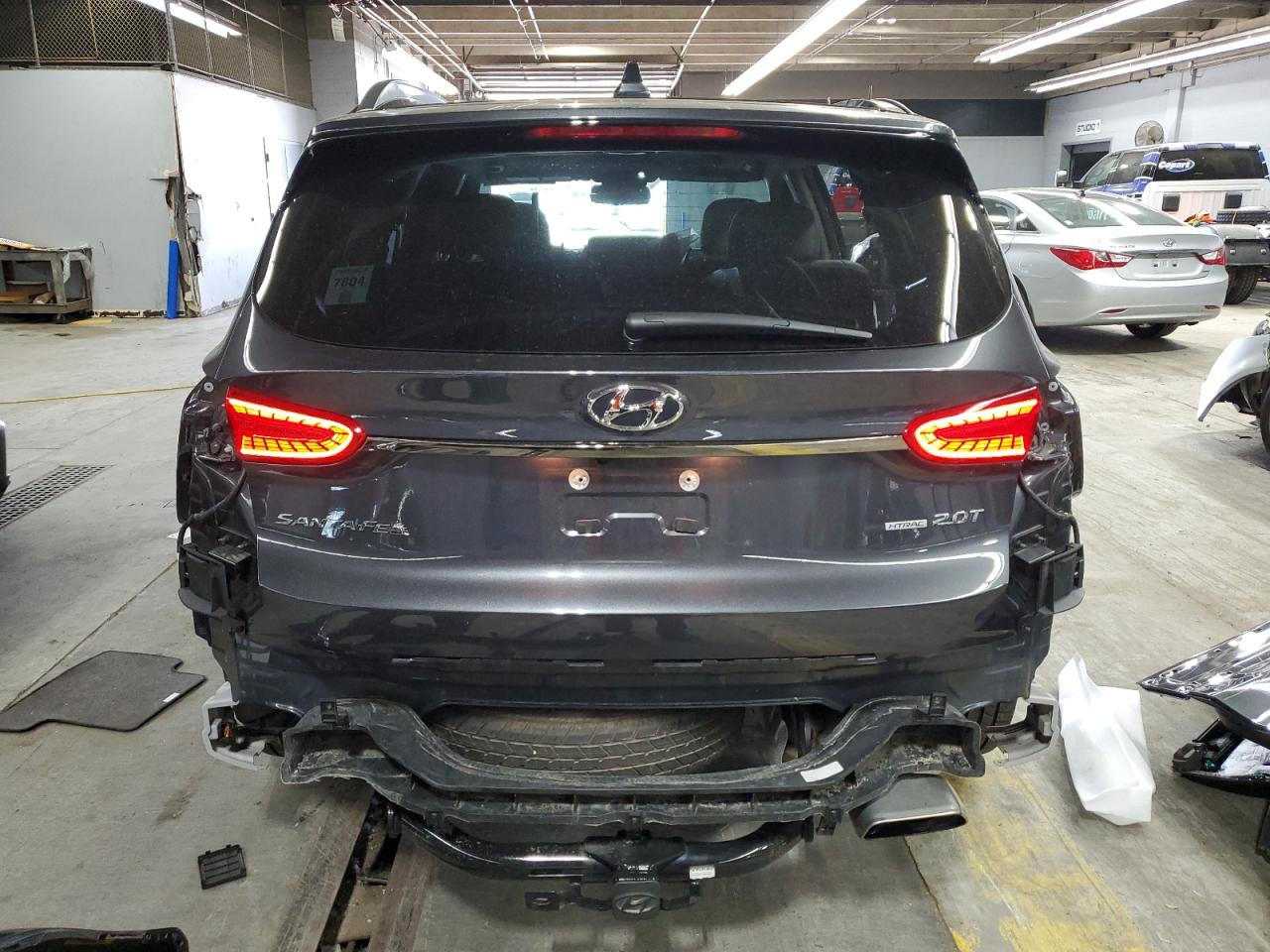 2020 Hyundai Santa Fe Limited VIN: 5NMS5CAA3LH286207 Lot: 61013185
