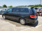 2010 Honda Odyssey Exl იყიდება Louisville-ში, KY - Hail