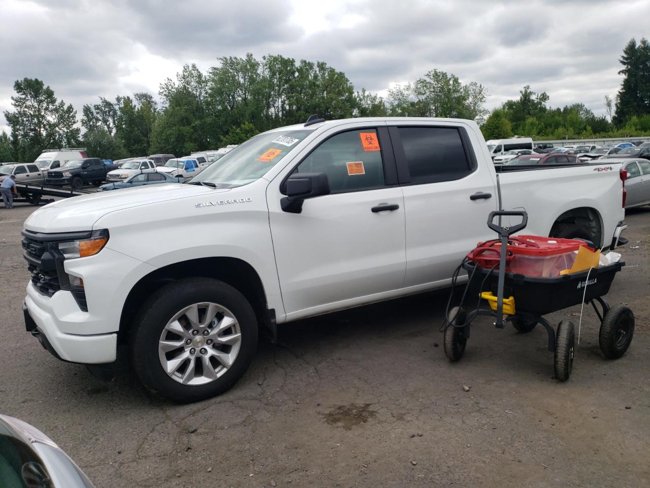 CHEVROLET ALL Models 2024 VIN 1GCPDBEK4RZ245966