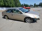 2004 Honda Accord Ex   de vânzare în Arlington, WA - Front End