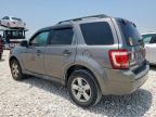 2010 Ford Escape Xlt for Sale in Taylor, TX - Front End