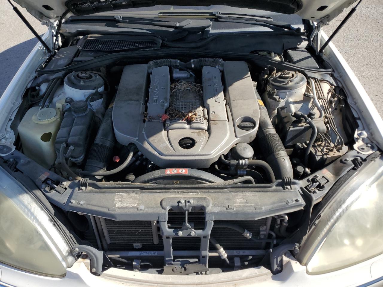 2003 Mercedes-Benz S 55 Amg VIN: WDBNG74JX3A344395 Lot: 61697155