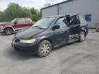 Albany, NY에서 판매 중인 2004 Honda Odyssey Exl - Side