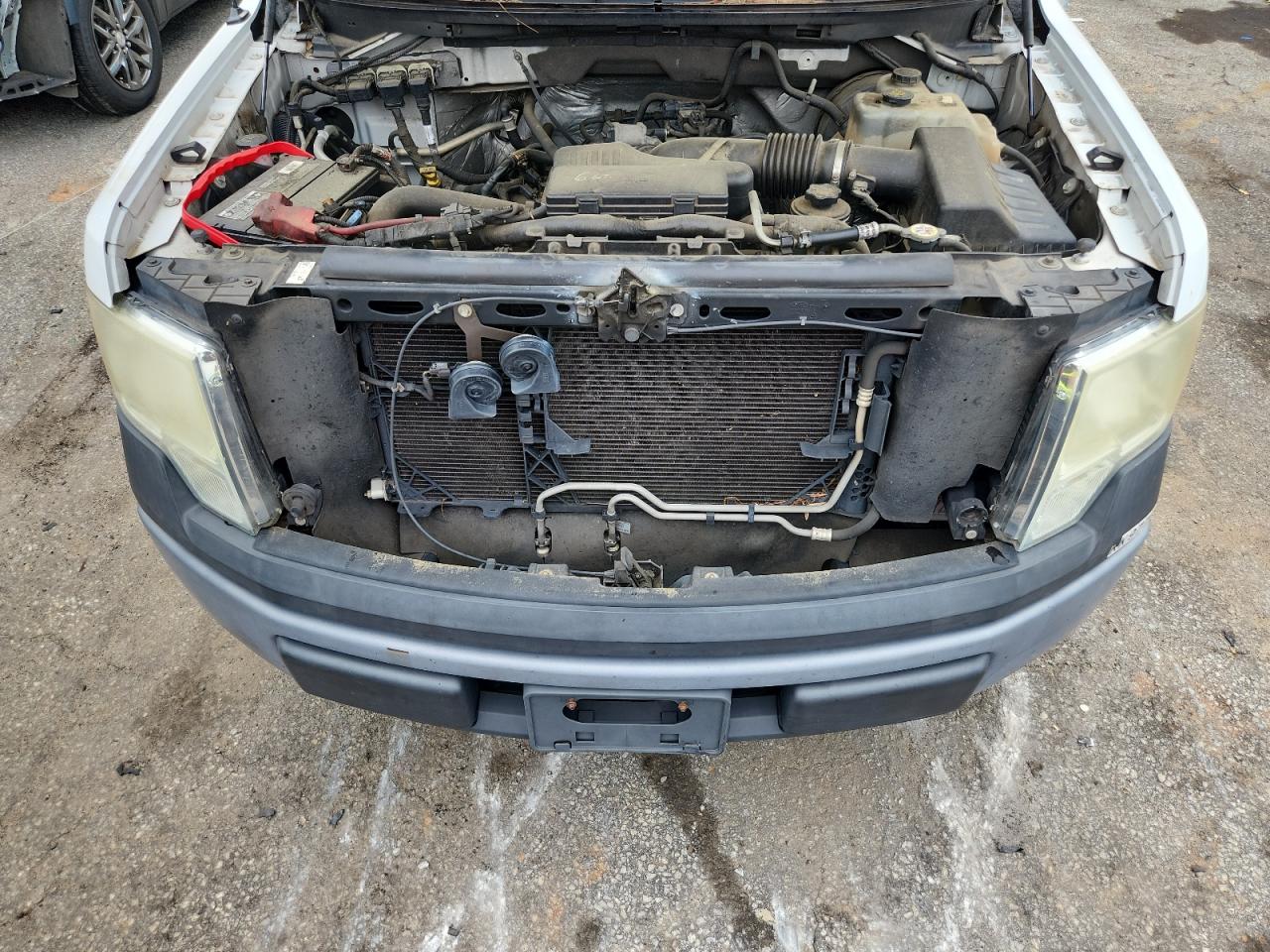 2010 Ford F150 VIN: 1FTMF1CWXAKC08558 Lot: 59618255