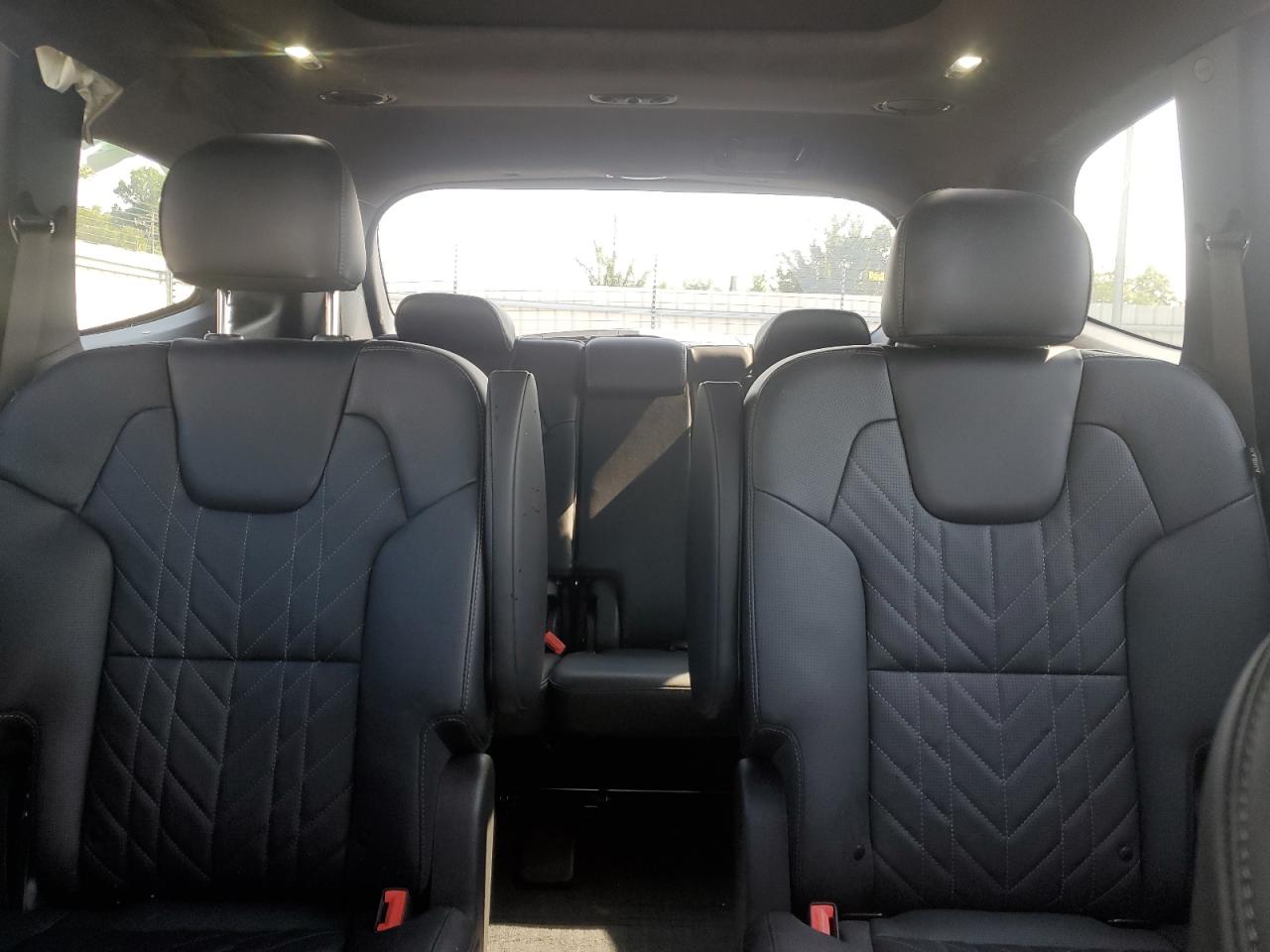 2024 Kia Telluride Sx VIN: 5XYP5DGC0RG510069 Lot: 62489365