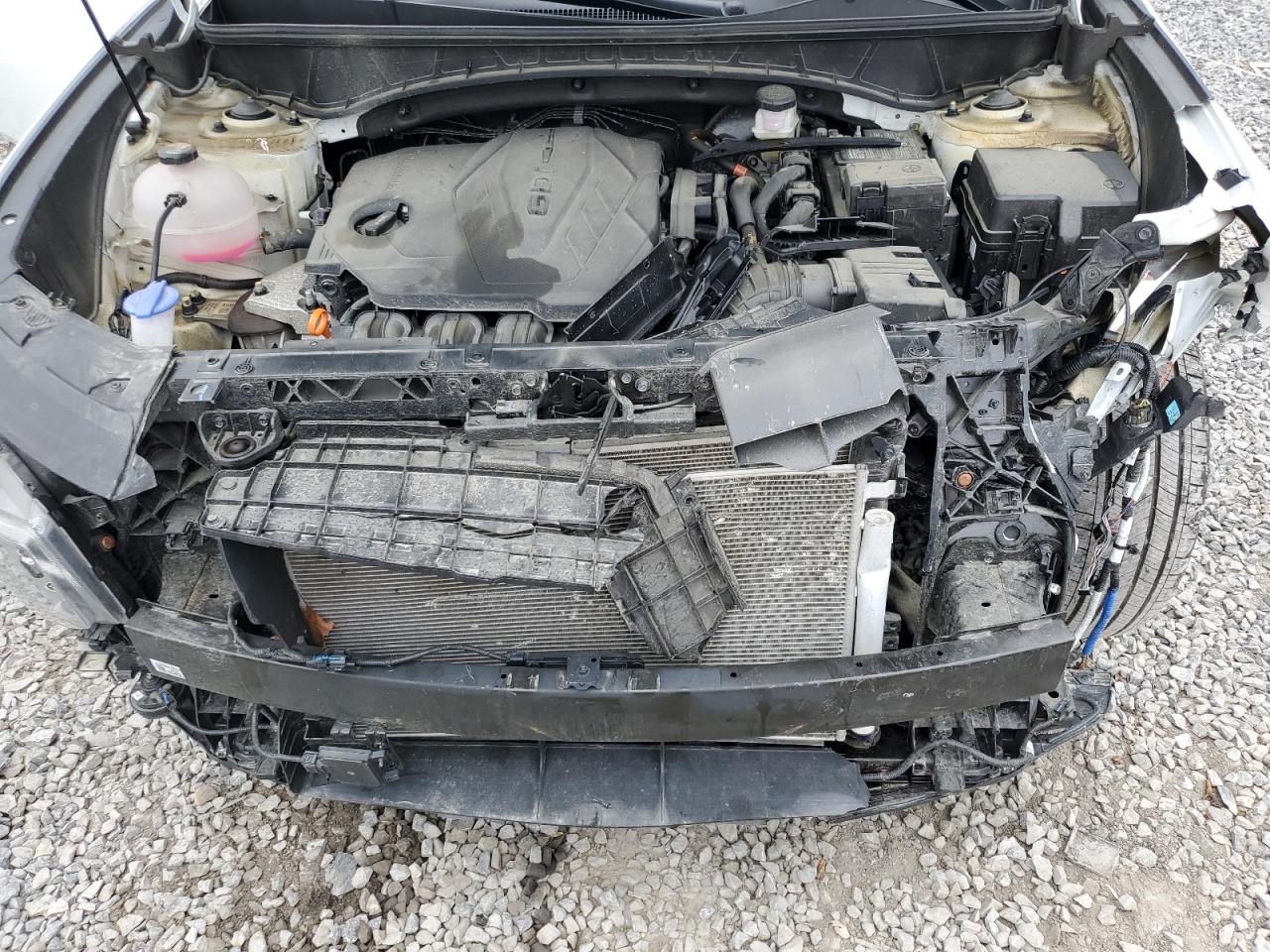 HYUNDAI TUCSON 2024 VIN 5NMJECDE6RH370749 zdjęcie 12
