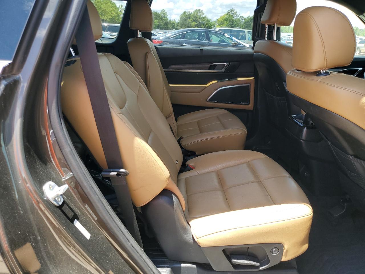 2020 Kia Telluride Sx VIN: 5XYP54HC6LG018510 Lot: 62819295